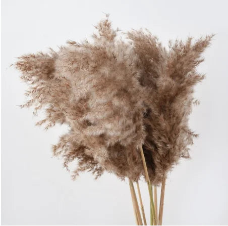 Artificial Pampas Grass