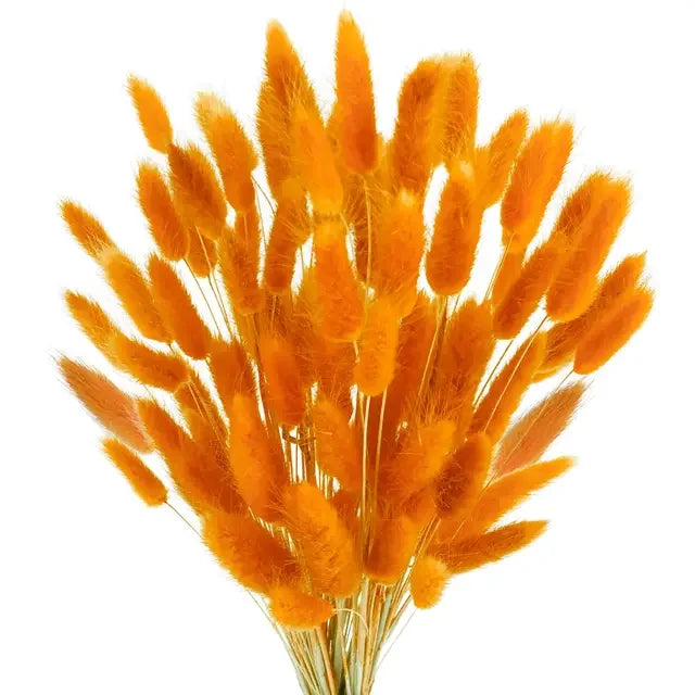 Bunny Tails Decor