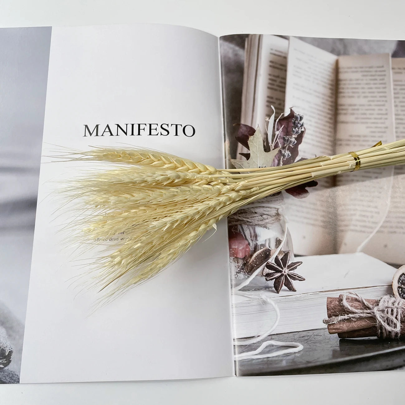 Artificial Pampas Grass