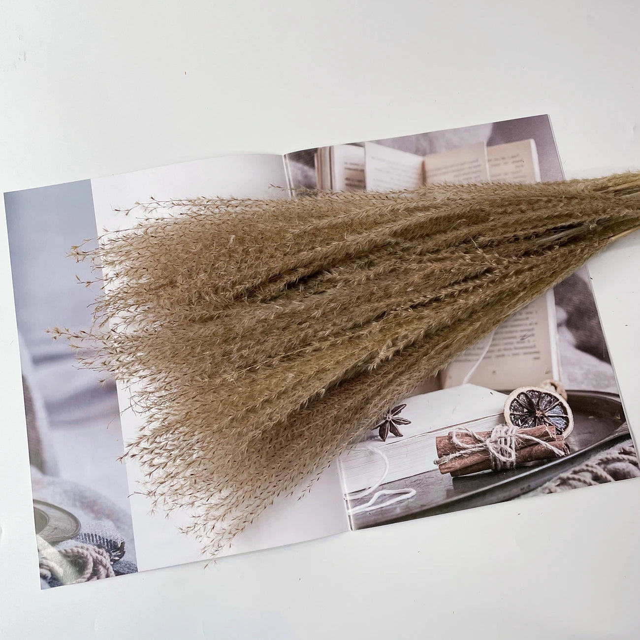 Artificial Pampas Grass