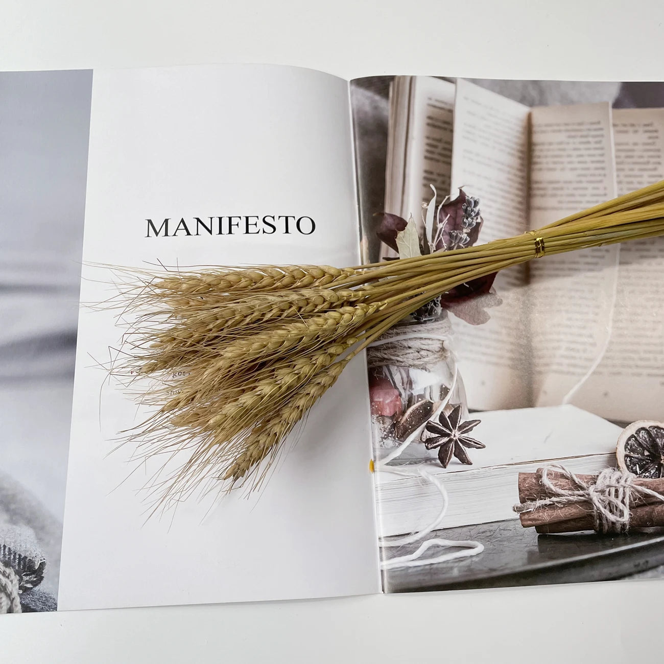 Artificial Pampas Grass