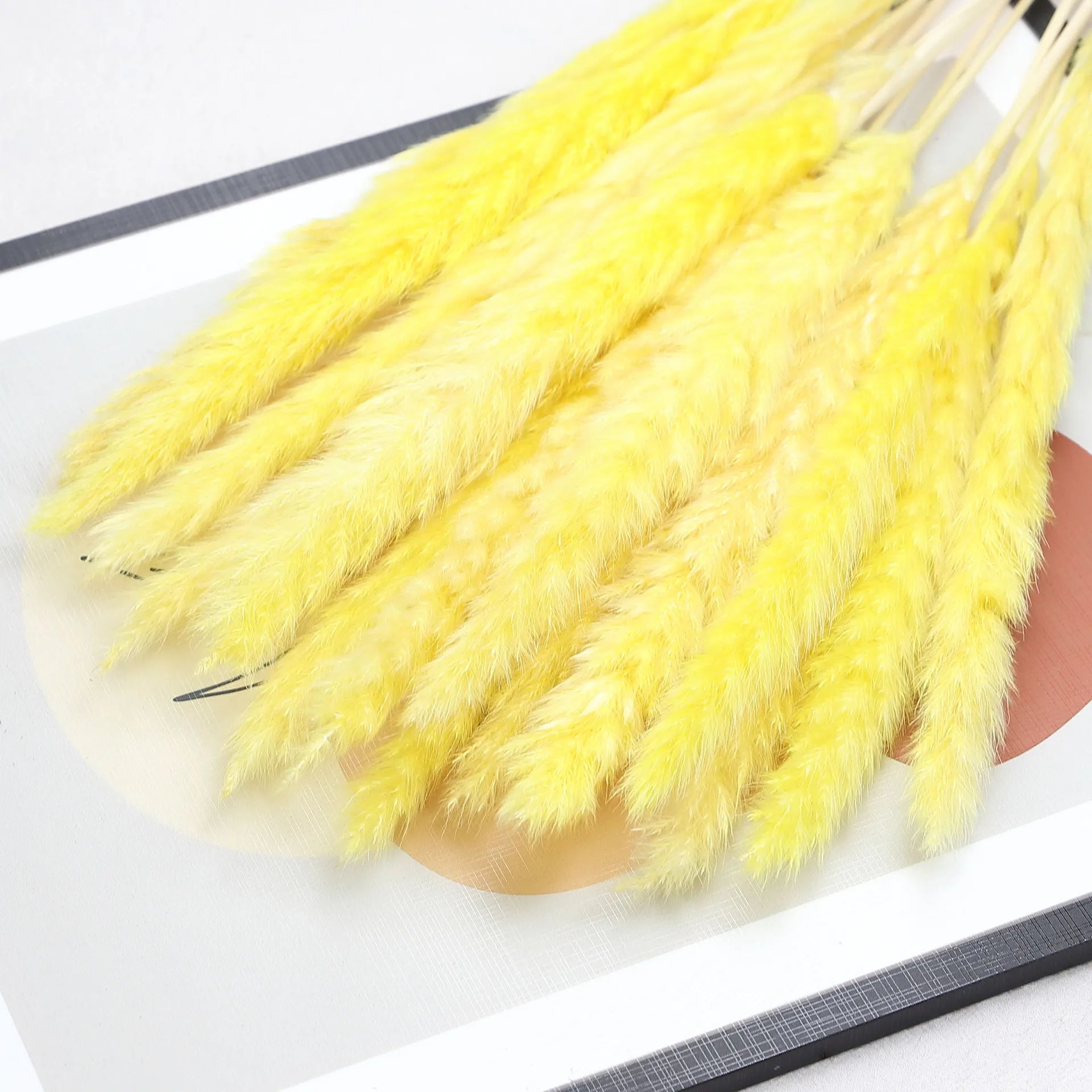 Artificial Pampas Grass